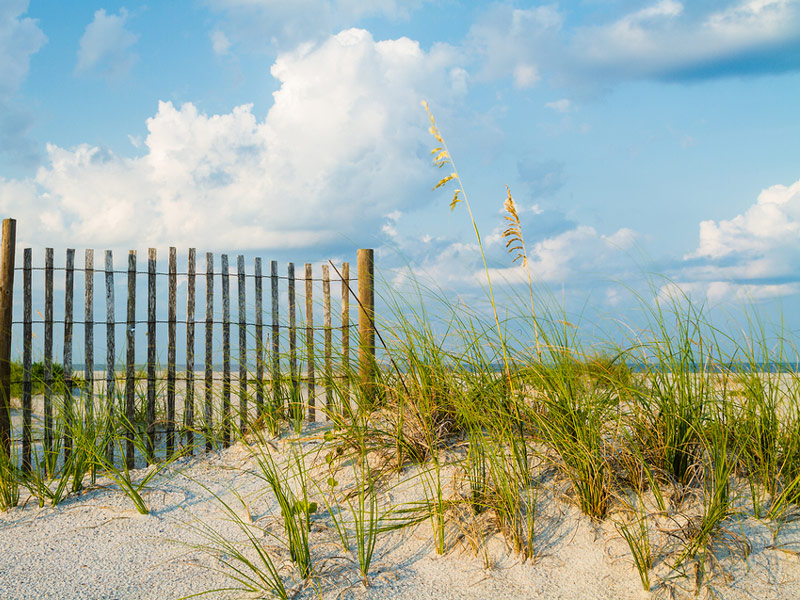 Amelia Island, Florida