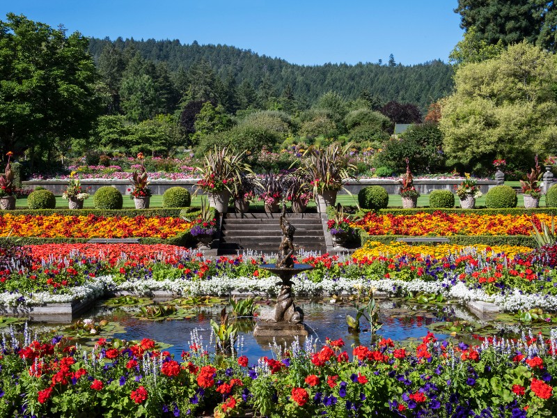 Butchart Gardens