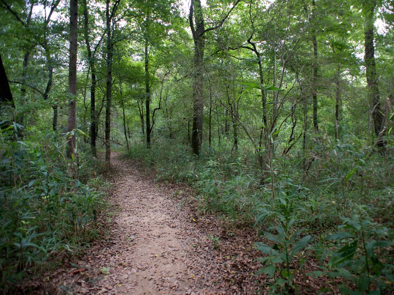 Chattahoochee Bend State Park