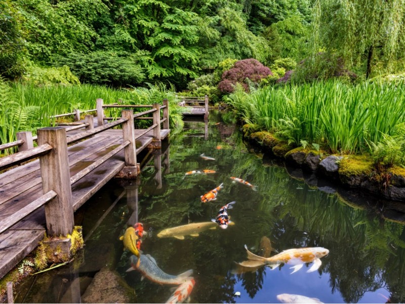 Portland Japanese Garden