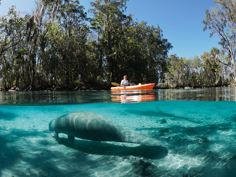  Three Sisters Springs - Crystal River