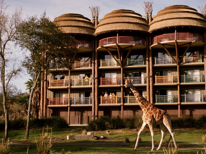 hotel facing savannah with giraffe walking by