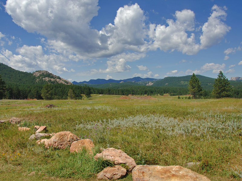 Black Hills National Forest, South Dakota