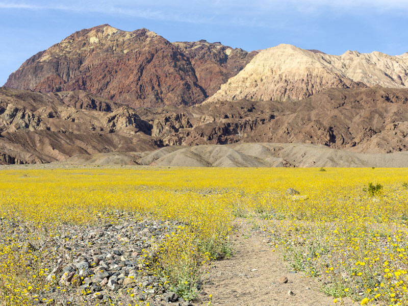 Death Valley National Park