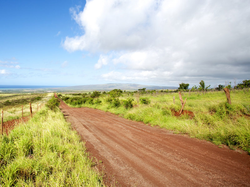 Molokai Forest Reserve Road, Hawaii