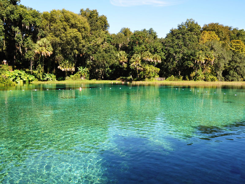 Rainbow Springs State Park