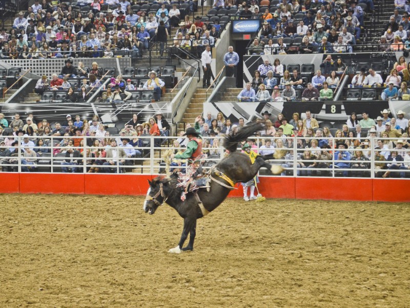 San Antonio Rodeo