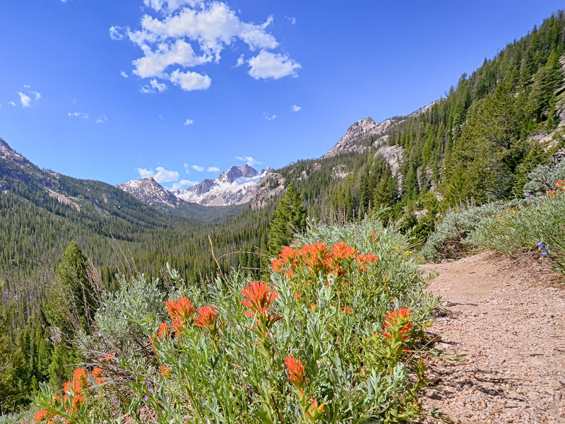 Sawtooth National Recreation Area, ID
