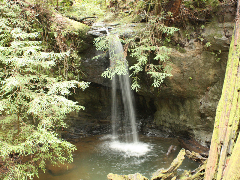 Big Basin Redwood State Park