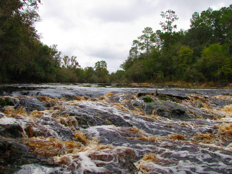 Big Shoals State Park, White Springs