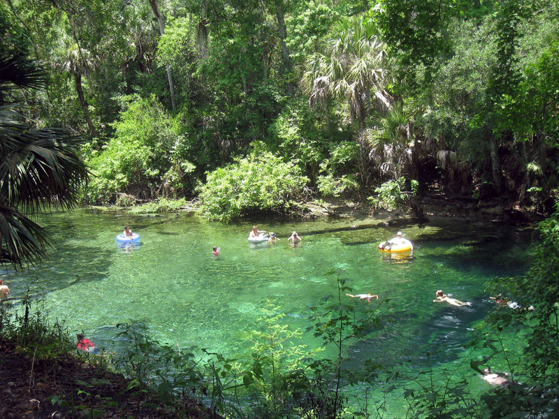 Blue Spring State Park, Orange Park