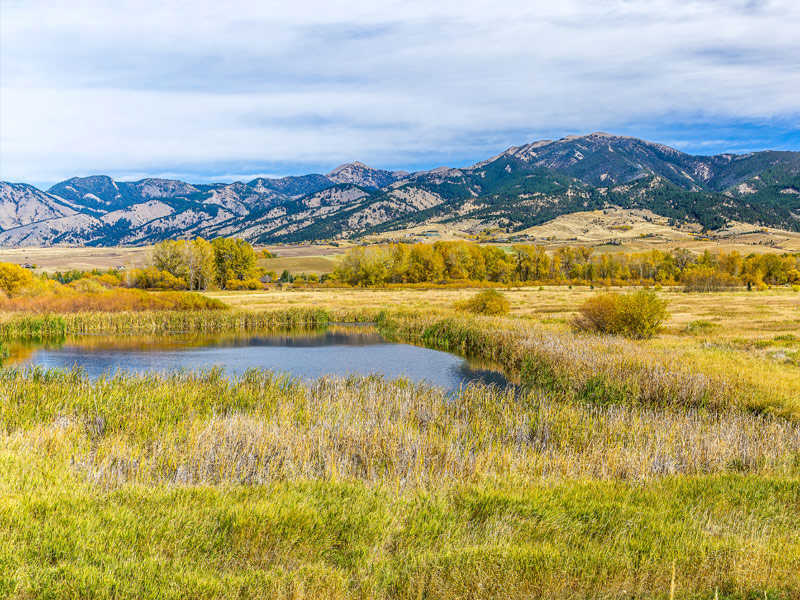 Bozeman, Montana 