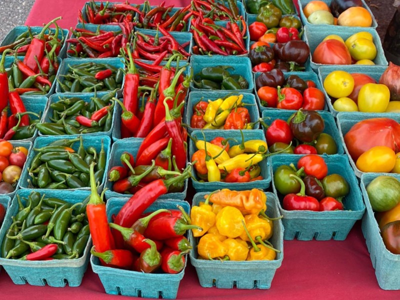 Burlington Farmer's Market