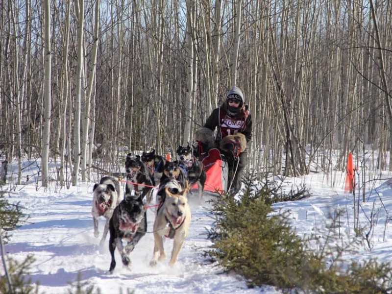 Cairngorm Sleddog Centre