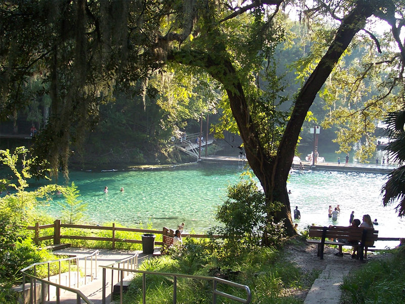 Fanning Springs State Park, Fanning Springs
