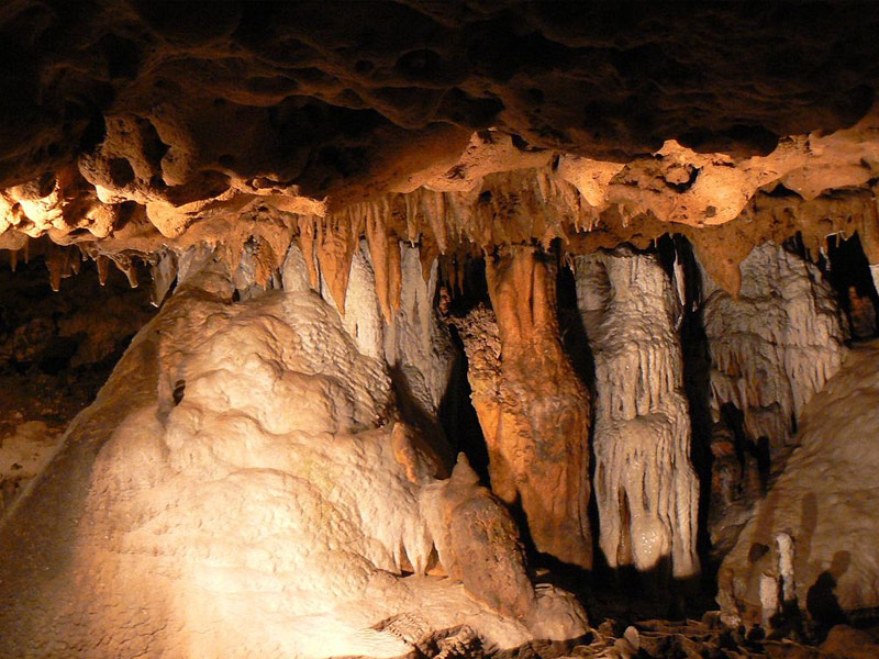 Florida Caverns State Park, Marianna
