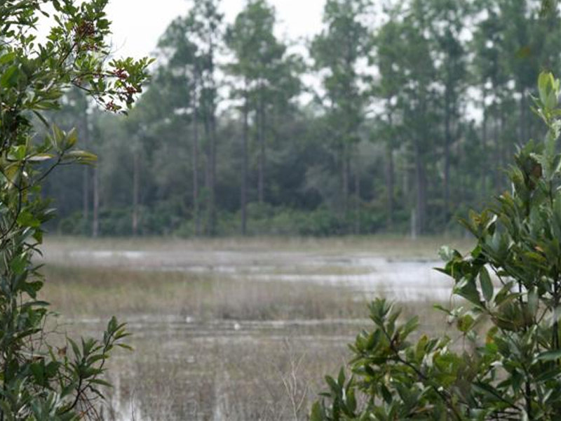 Geneva Wilderness Area