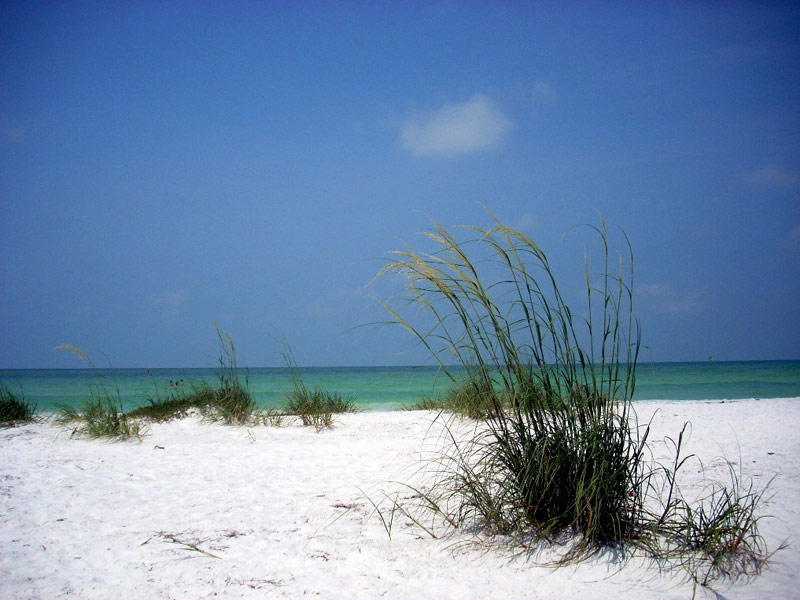 Honeymoon Island State Park