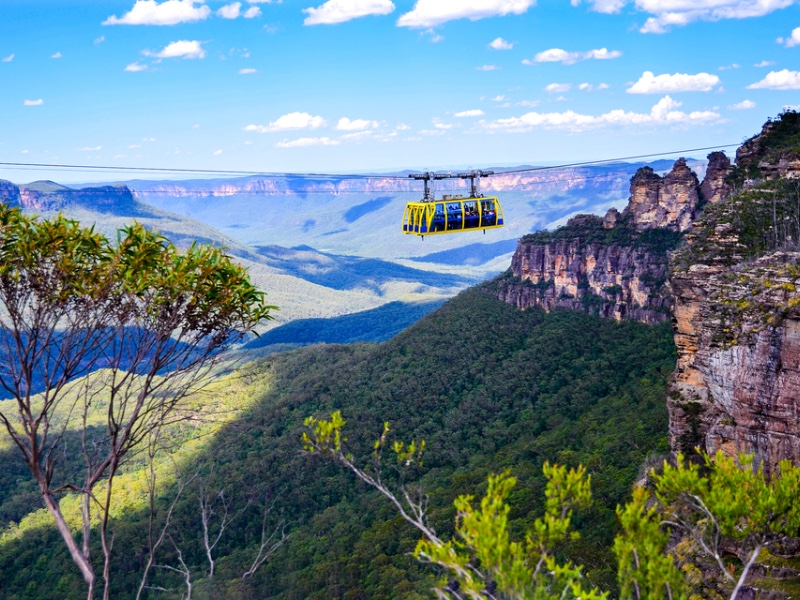 Skyrail Rainforest Cableway