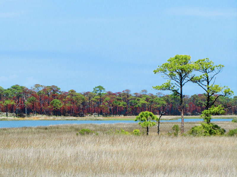  St. George Island State Park