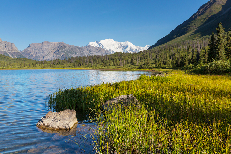 Wrangell-St. Elias National Park and Preserve