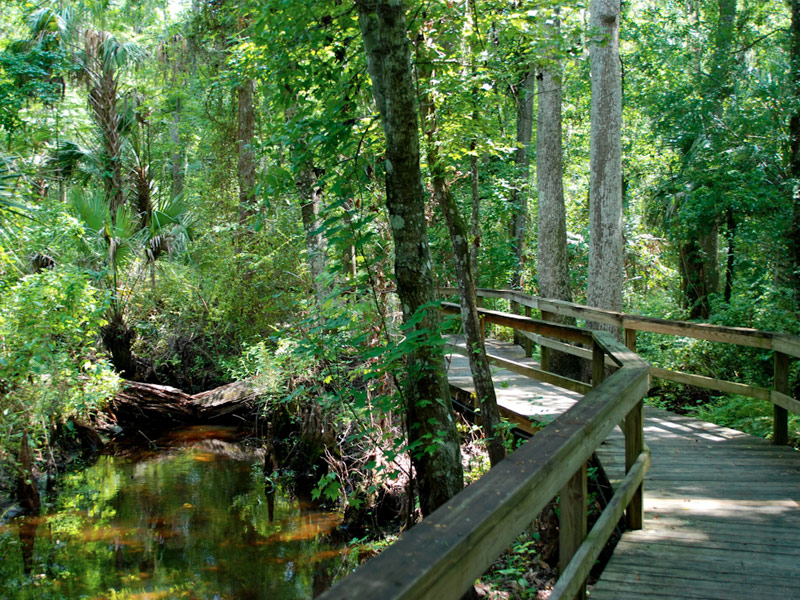 Lake Mills Park