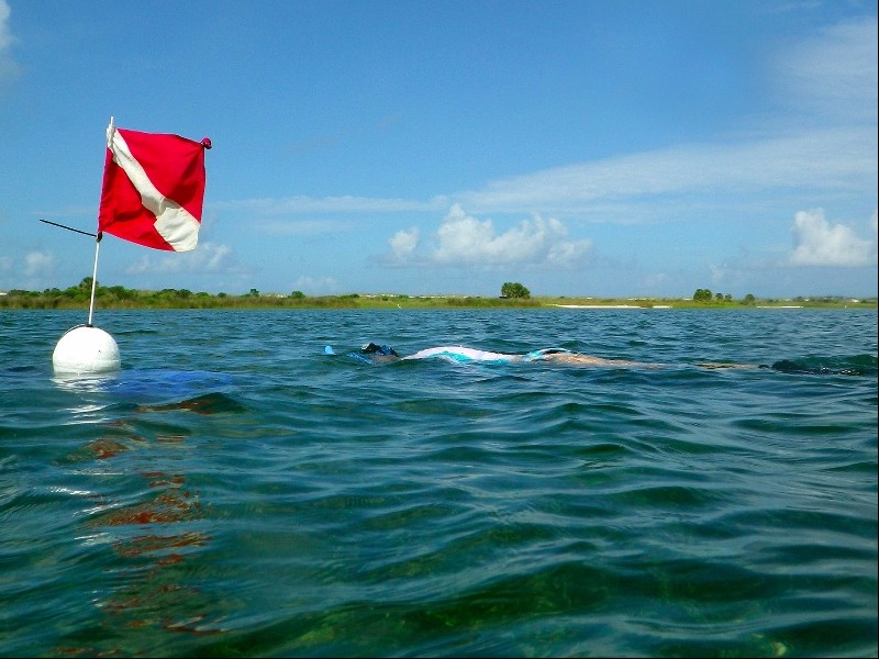 Scalloping