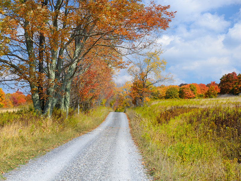 Canaan Valley, West Virginia.