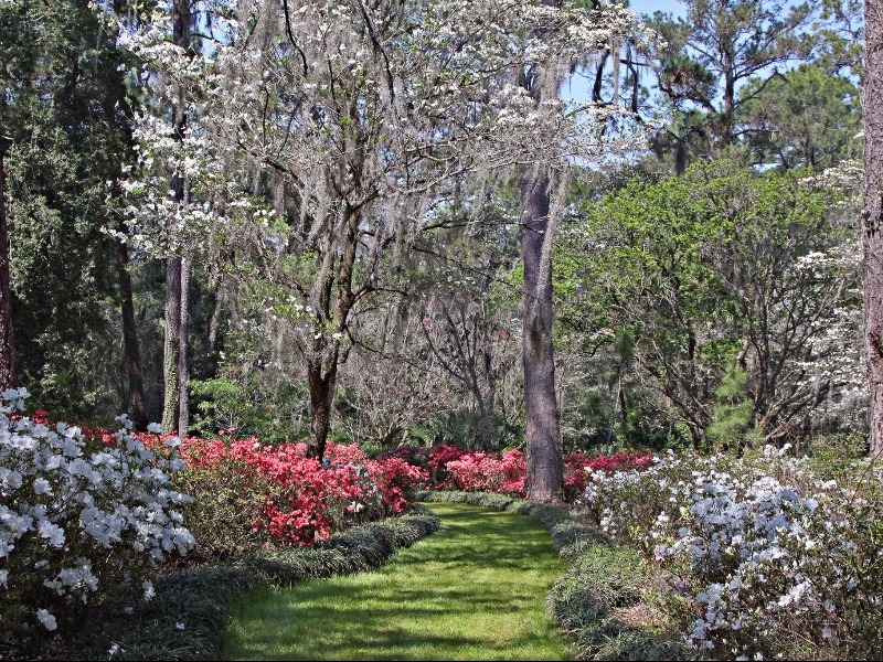 Alfred B. Maclay Gardens State Park