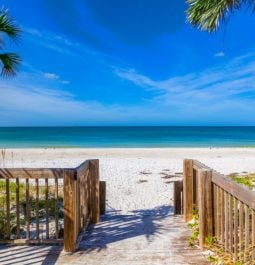 beach view of sand, palm trees and ocean