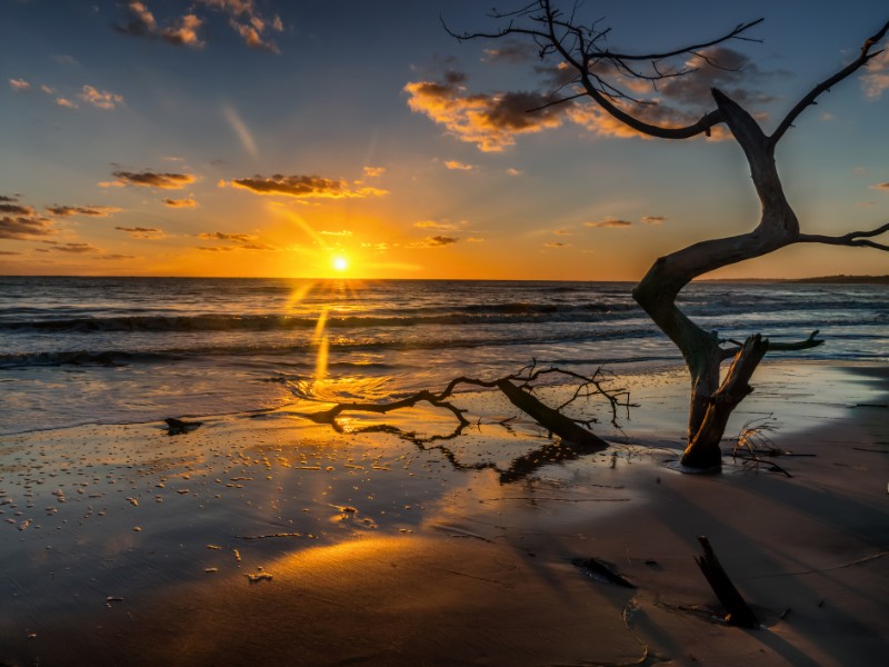 Boneyard Beach, Jacksonville 