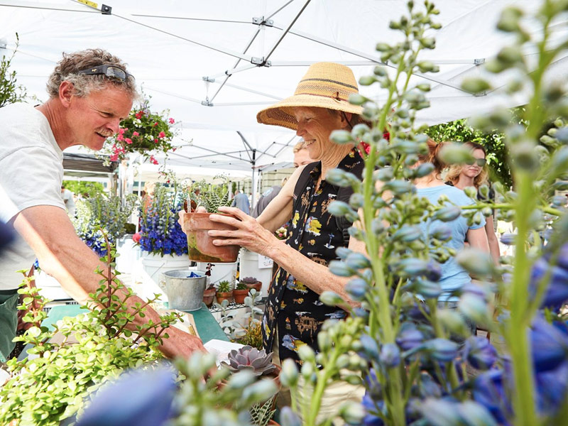 Boulder Country Farmers Market