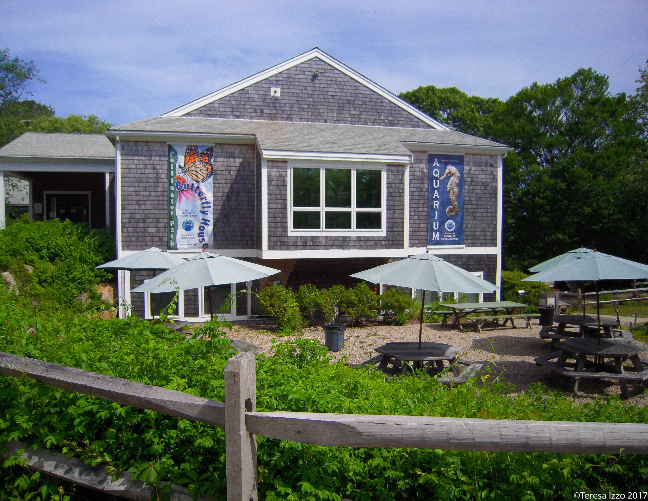 Cape Cod Museum of Natural History