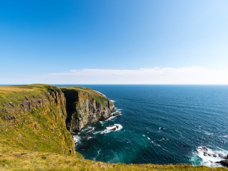 Cape St. Mary's Ecological Reserve