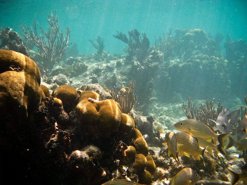 Dry Tortugas National Park