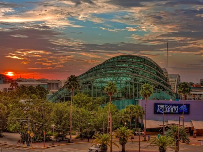 Florida Aquarium