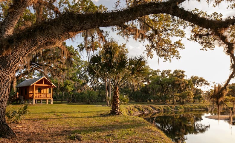 Florida Cracker Cabin on Cattle Ranch/Myakka Rive