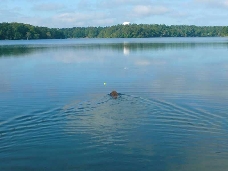 Jenkins Pond