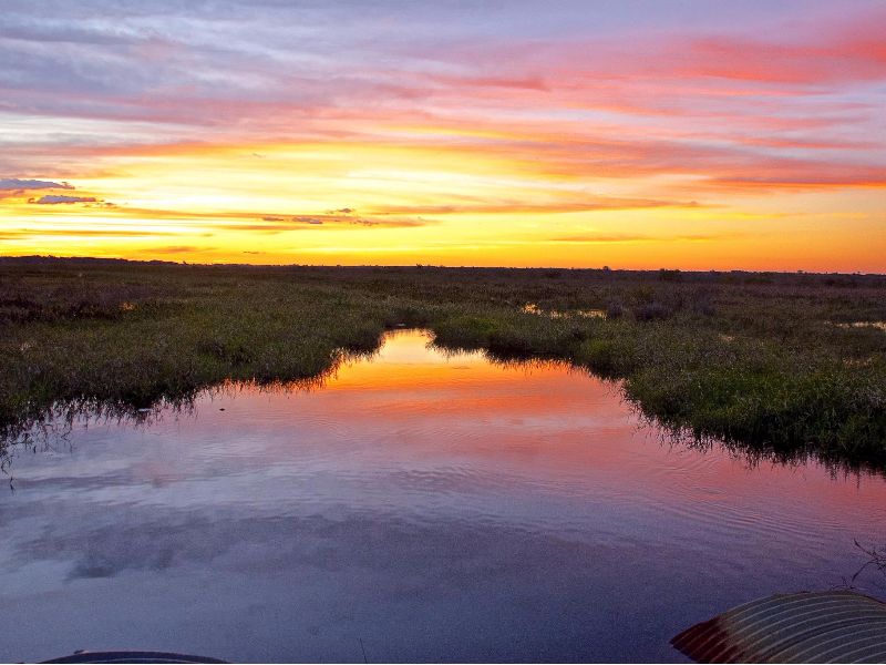 Kissimmee Prairie