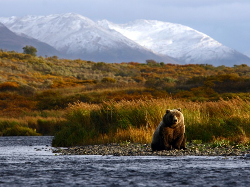 Kodiak, Alaska