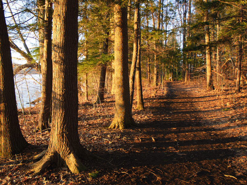 Chautauqua Park

