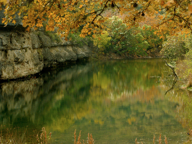 Lost Maples State Natural Area