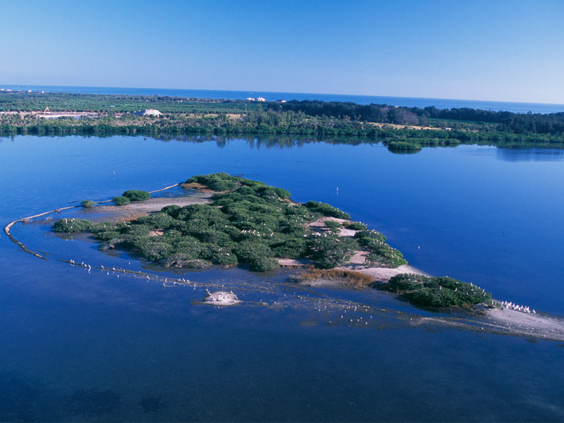 Pelican Island National Wildlife Refuge