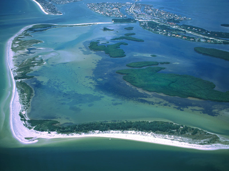  Shell Key Preserve