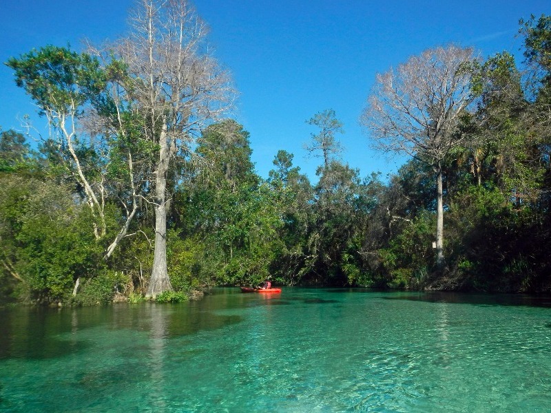 Weeki Wachee Springs