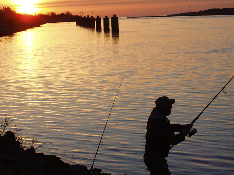 Fishing in the Cape Cod Canal