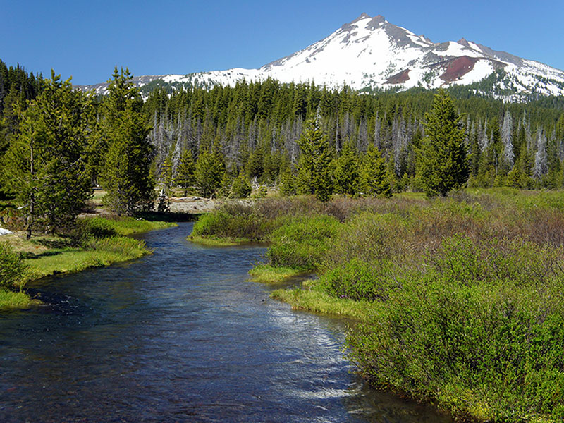 Beautiful mountain stream