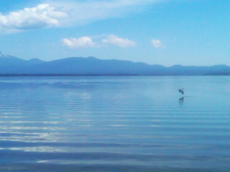 Crane Prairie Reservoir