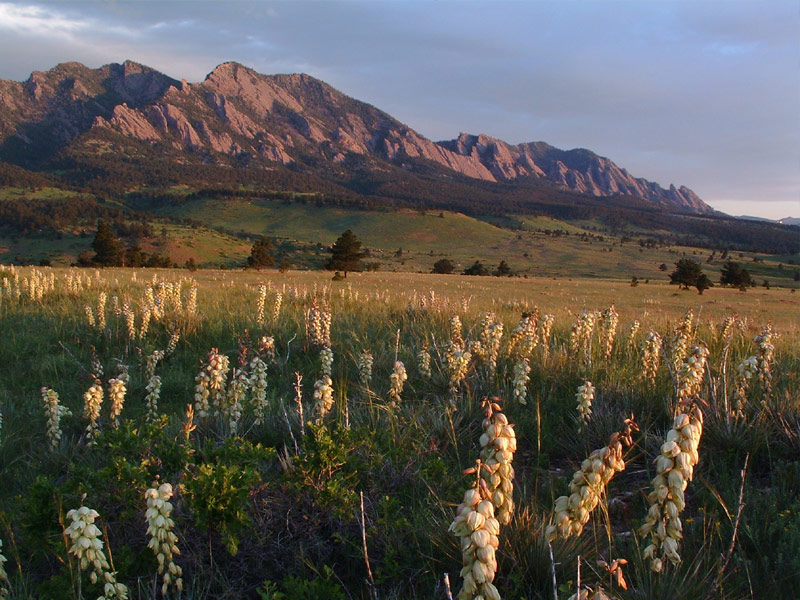 Flatirons