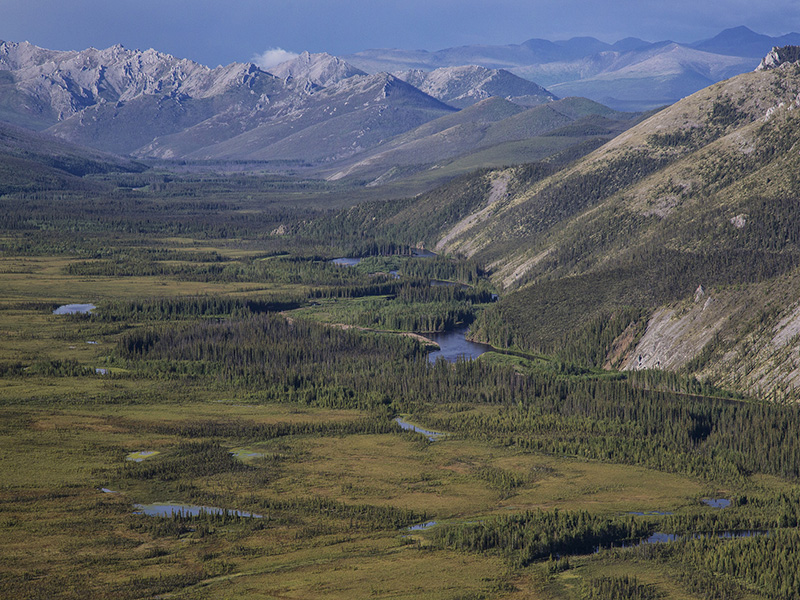 White Mountains near Fairbanks